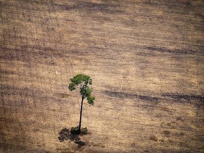 - Foto por Raphael Alves/AFP.