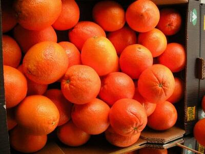 Exportamos cada año miles de millones de litros de agua en forma de frutas y verduras