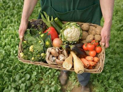 Extractivismo en el agro y alternativa agroecológica