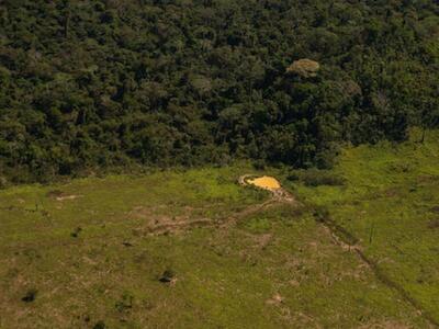 Área desmatada na APA Triunfo do Xingu, na cidade de São Félix do Xingu, no Pará, a primeira das UC´s no ranking do desmatamento (Foto Christian Braga | Greenpeace | 2020)