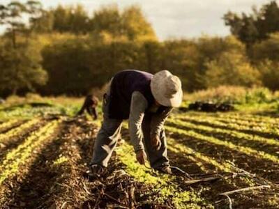 Fortalecer la Democracia, el Federalismo y la Justicia para construir una Argentina con Arraigo y Soberanía Alimentaria