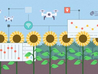 CC:BY (Daniel Almada)