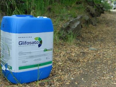 Glifosato: un modelo que se intensifica en la explotación de los recursos naturales