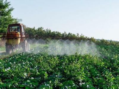 Gobierno de Piñera aumentará uso de plaguicidas en sector hortalicero