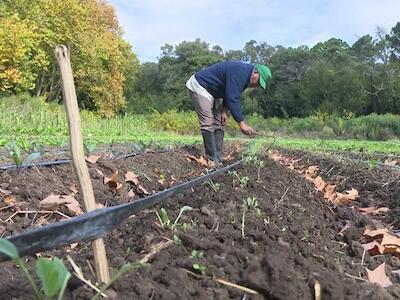 Hacia el desarrollo de las ecoenergías y la agroecología