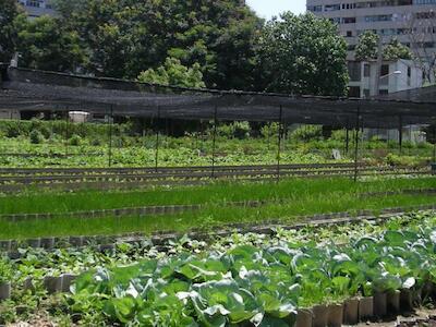 Hambre y crisis ambiental, los rostros del naufragio humano anunciado