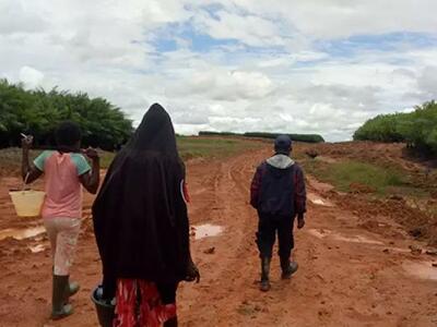 - Trabajadoras de una plantación de palma en Papúa. Ref: Rassela Malinda