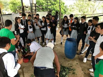 IALAs: La Universidad Campesina  de América Latina