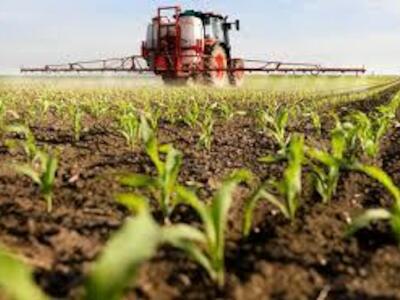 Impacto de los plaguicidas en los alimentos, el ambiente y la salud en Argentina