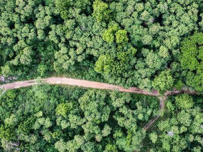 Impostos de carbono falham em reduzir emissões: estudo revela que 76% servem apenas para arrecadação