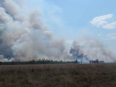 Foto: Federación Campesina Guaraní de Corrientes.