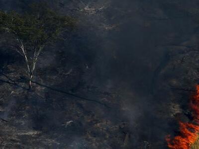 Incendios forestales y afectaciones en la salud en Brasil - Boletín #887 de la RALLT