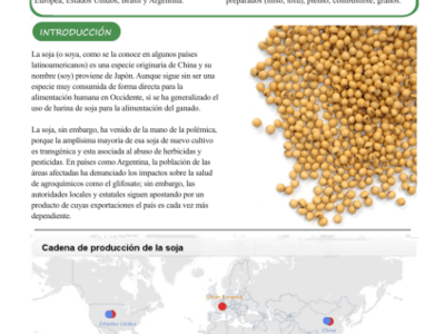 Informe de Carro de Combate sobre la soja