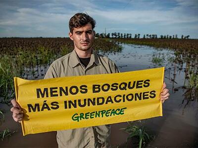 Informe “Deforestación en el norte de Argentina-2018”