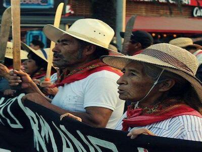 Iniciativa de ley para el desarrollo agrario: nueva reforma estructural