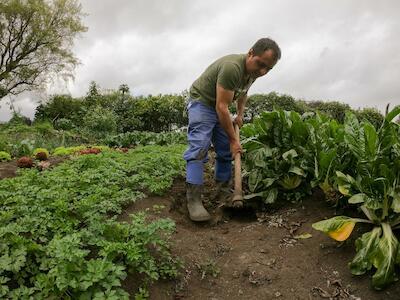 Introducción a la delimitación del problema agrario en Colombia: problemática y retos