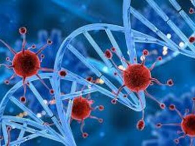 Introducción a las sustancias químicas que perturban el sistema endocrino (EDCs) 