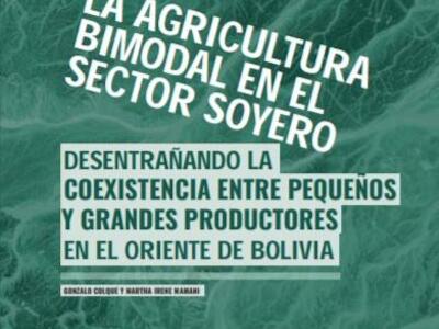 La agricultura bimodal en el sector soyero