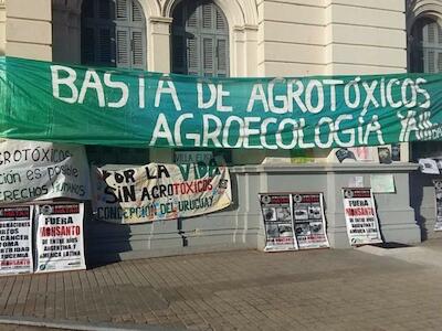 La agroamenaza sojera en Entre Ríos: “Ya le dijimos a la gente que se empiece a armar”