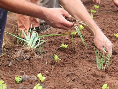 "La agroecología es ciencia, acción y movimiento" explica Walter Pengue 