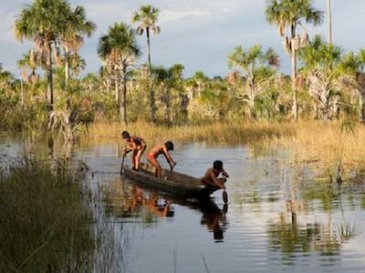 La agroindustria rodea el territorio indígena xingu en Brasil