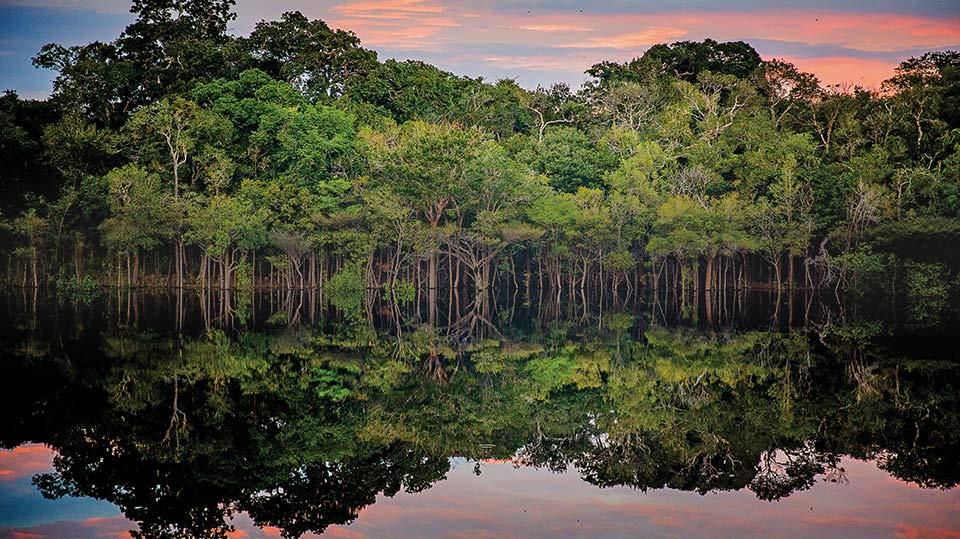 La Amazonia ni salvaje, ni pulmón, ni granero del mundo