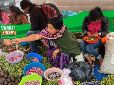 - Fotos por Ángeles Mariscal | Chiapas Paralelo