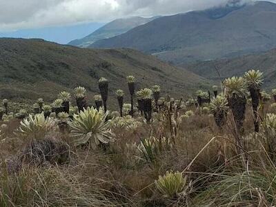 La Constitución de Montecristi ratificada N°5 | Áreas protegidas y frágiles en Ecuador 