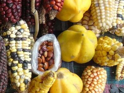 La Constitución de Montecristi ratificada | Soberanía Alimentaria