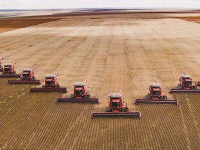 - Un gigantesco campo de soja ubicado en Brasil, uno de los mayores productores de este rubro a nivel mundial. (Foto: Alf Ribeiro)