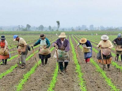 La cumbre de sistemas alimentarios, rehén de trasnacionales e instituciones financieras