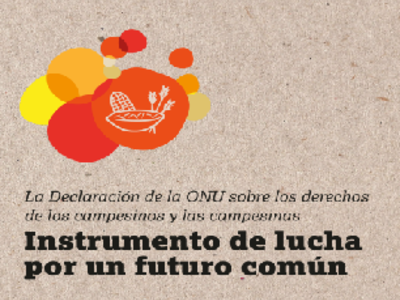 La Declaración de la ONU sobre derechos de lxs campesinxs: instrumento de lucha por un futuro común