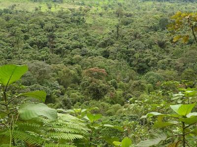 La delegación del uso de nuestra biodiversidad al gobierno de Corea del Sur