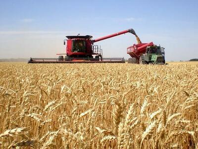 La dimensión ecológica del modelo agroindustrial