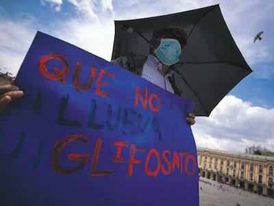 ¿No es momento de buscar alternativas contundentes para luchar contra los cultivos ilícitos sin enemistar ni poner en riesgo a las comunidades aledañas? / Foto: Mauricio Alvarado - El Espectador