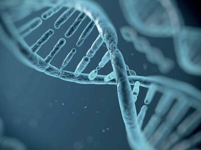 La instrumentalización de las leyes naturales para la acumulación del capital. El caso de la biología molecular