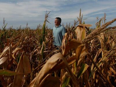 Un agricultor en un campo de maíz afectado por la sequía cerca de Chivilcoy, Argentina. La sequía ha sido una amenaza recurrente en las regiones agrícolas del país, pero un tercer año consecutivo de La Niña ha intensificado los desafíos. Imagen: Martin Acosta / Alamy