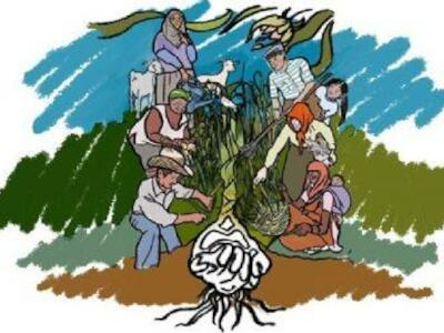 La Vía Campesina demanda impulso global para implementación y popularización de Declaración sobre Derechos de lxs Campesinxs