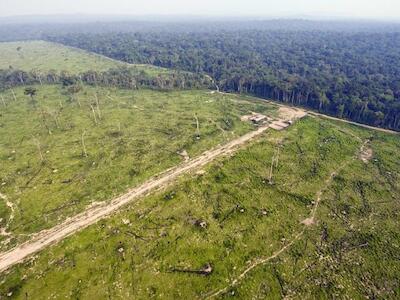 Las actividades que fomentan la deforestación en toda la Amazonia