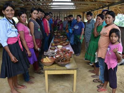 Las dinámicas y los procesos de cambio en la Amazonía peruana: aprendiendo de los pueblos Kechwa–Lamas