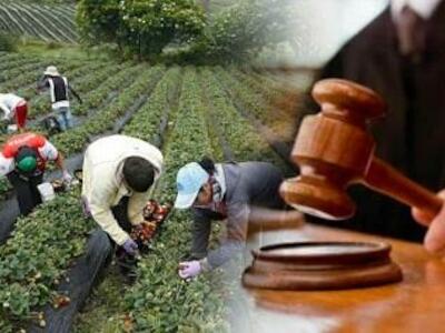 Llamado urgente para avanzar en el trámite legislativo de la Jurisdicción Agraria