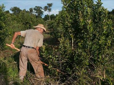 “Los agricultores son investigadores por excelencia y tienen memoria, como las semillas" 