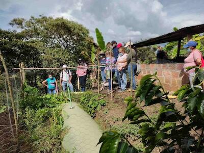 Los campesinos que impulsan el cambio energético en Colombia