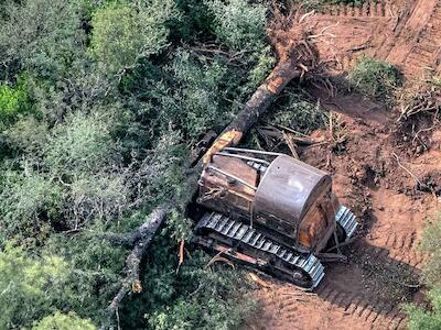 - Fotos de Martín Katz, Greenpeace.