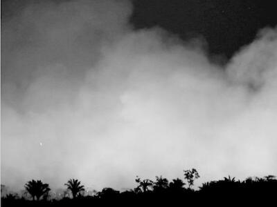 Los incendios en Amazonía son crímenes políticos de Bolsonaro y la acción es urgente