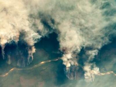 Los incendios en la Amazonía son un llamado de alerta al mundo