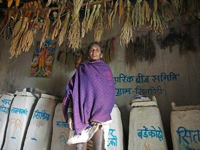 Una campesina en un banco comunitario de semillas en la aldea de Silpidi, distrito de Dindori, Madhya Pradesh, India. Vía Down To Earth