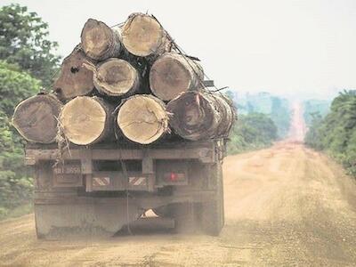 Los ritmos de la ‘nueva normalidad’: coordenadas del extractivismo en la pandemia en América Latina