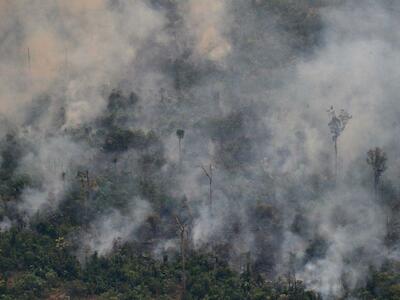 MAAP síntesis 2019: Hotspots y tendencias de deforestación en la Amazonía