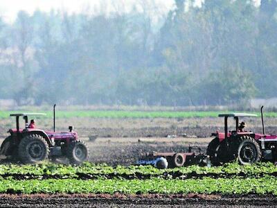 Manifiesto por la agricultura familiar: primera línea de la alimentación